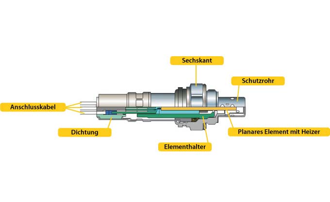 universal oxygen sensor
